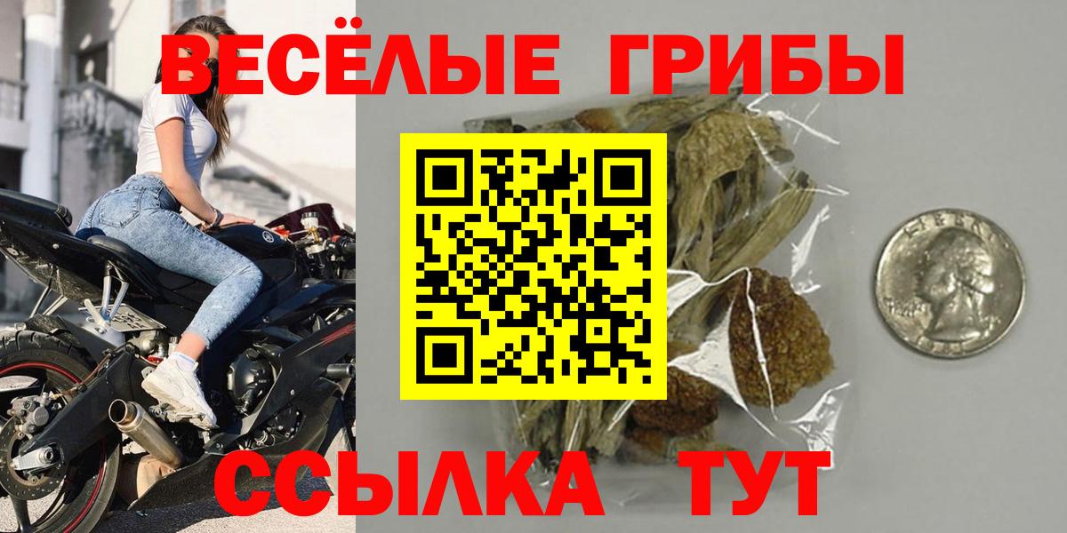 Псилоцибиновые грибы Psilocybine cubensis Верхний Уфалей