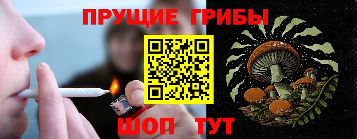 Псилоцибиновые грибы Верхний Уфалей
